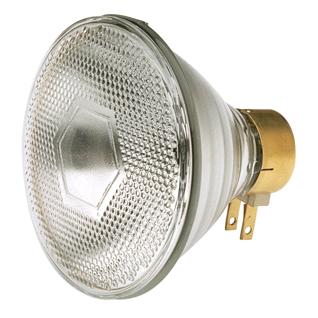 Satco S4801 65W PAR38 Halogen Incandescent Light Bulb