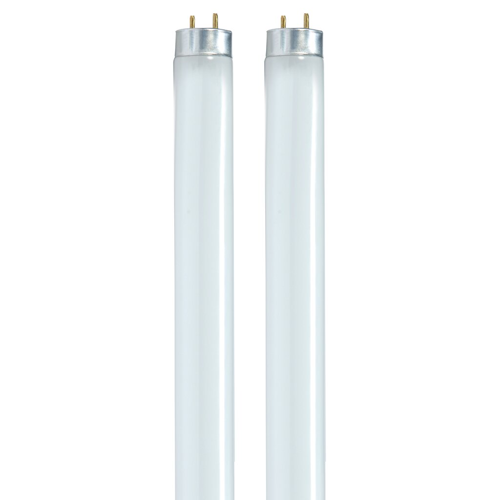 HyGrade S8479 32W T8 Fluorescent Light Bulb