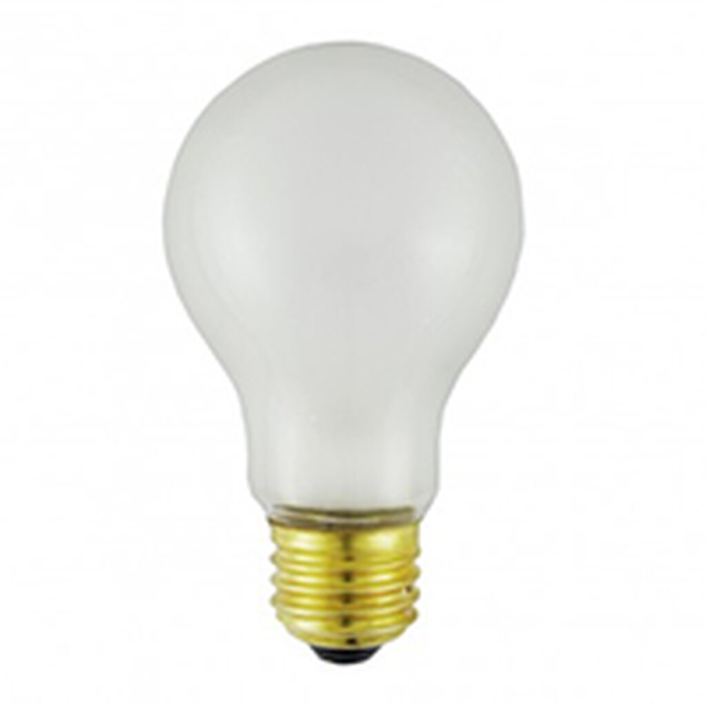 PFA-TS100A 100W A19 Warm White Incandescent Light Bulb