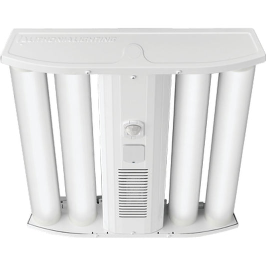 Lithonia IBG 30000LM HEF AFL GND 120 GZ10 50K 80CRI IE20W LED Fixture