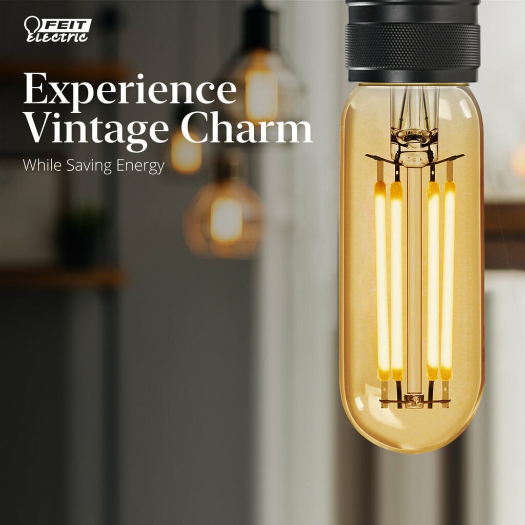 Feit Electric T640VG/LED/HDRP/4/RP 4W T6 LED Light Bulb