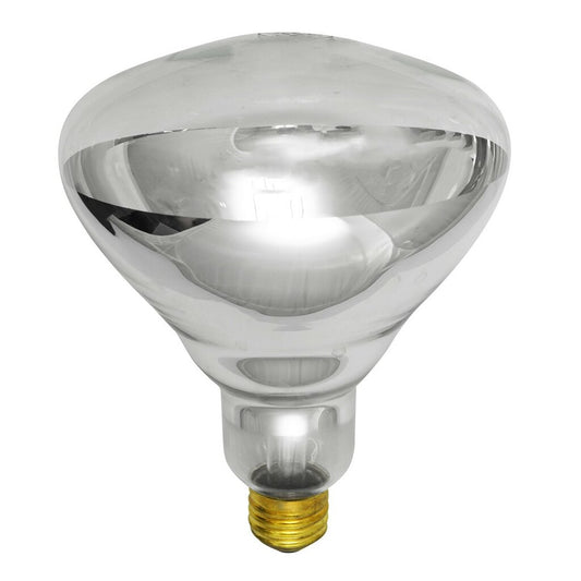 250R40/1 250W BR40 Incandescent Light Bulb